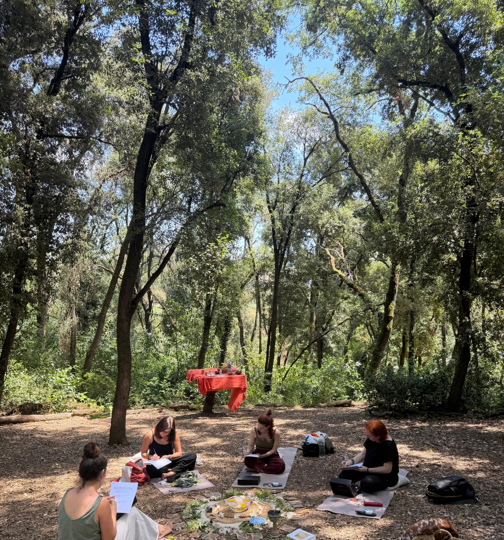 Mujeres sentadas en círculo en el bosque, escribiendo y compartiendo
